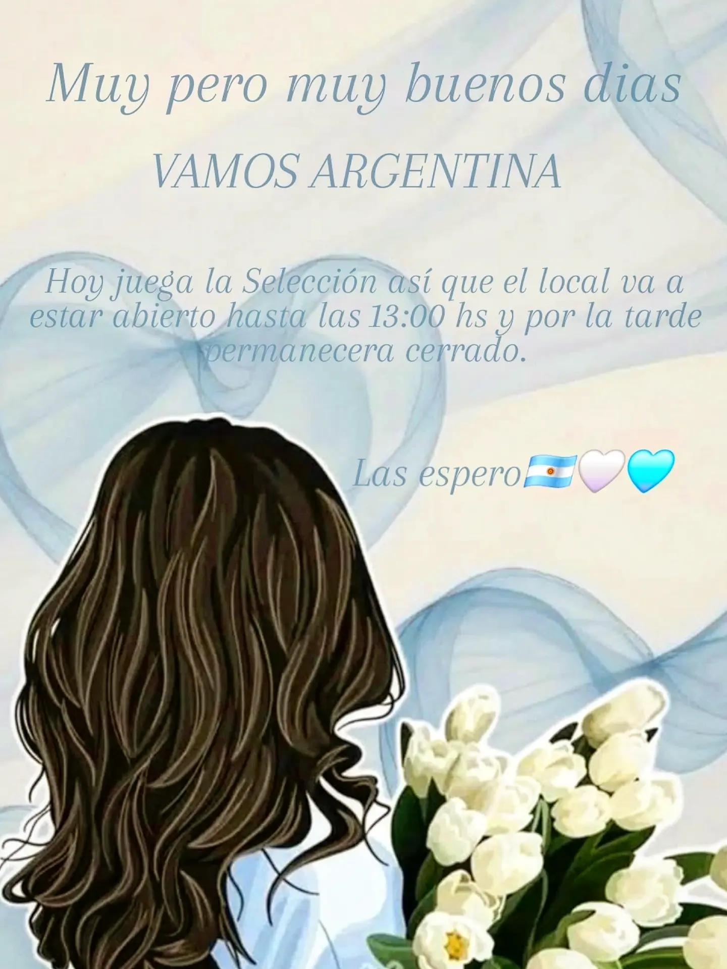Remera Edición Especial Argentina - Sophie Indumentaria